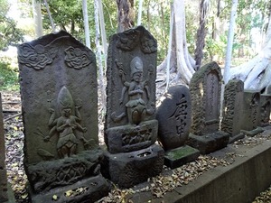 照明寺 (14)
