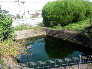 清水湧水地 (2)