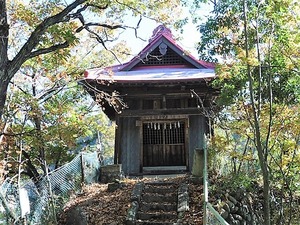 上白井厳島神社 (6)