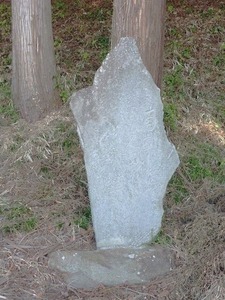 上南室赤城神社 (10)