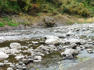かに石の甌穴 (6)