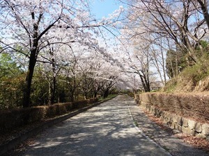 天久沢観音堂 (7)