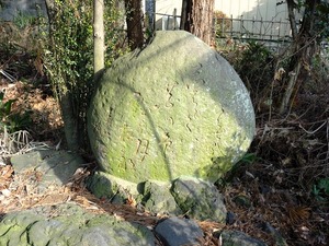 世良田八坂神社2 (16)