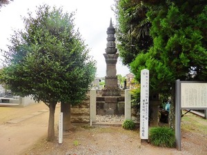 善長寺 (1)