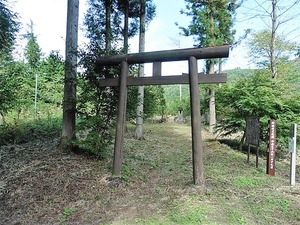 添うが森 (2)