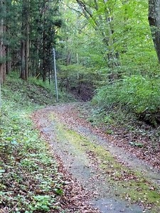 吉岡神社 (8)