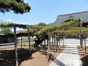 福徳寺 (4)