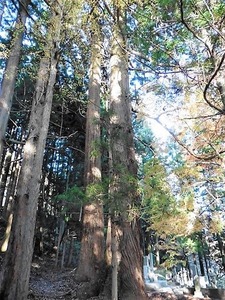須賀尾諏訪神社 (7)