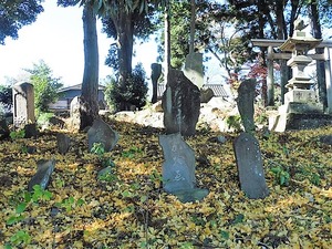 荻窪神社 (6)