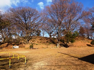 天川二子山古墳 (1)