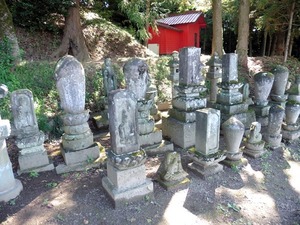 上南室赤城神社 (8)