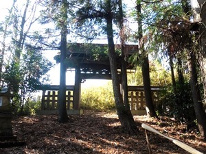 鷹巣神社 (5)