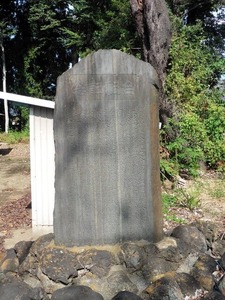 中江田矢抜神社 (7)