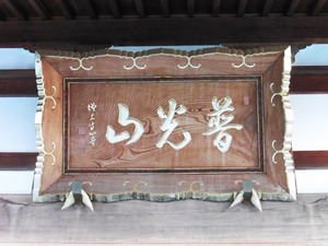 東吾妻町・善導寺 (4)