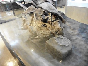 甲を着た古墳人 (2)
