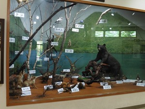 榛名ビジターセンター (4)