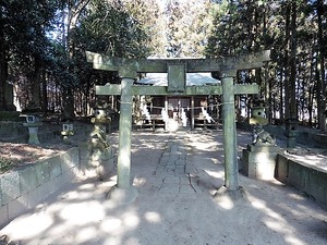 滝泉神社 (6)