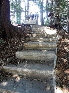 井出上神社 (15)