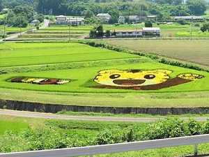 田んぼアート2022