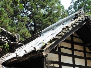 芦田町神明宮 (4)