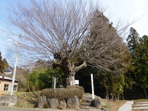 横堀宿の一里塚 (1)