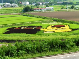 田んぼアート2015