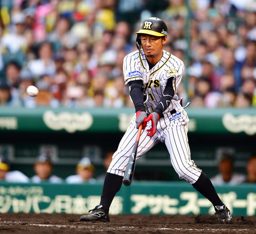 野球 阪神鳥谷は代打不発 打率１割３分も矢野監督は期待 トラのまとめ 阪神タイガースニュースブログ