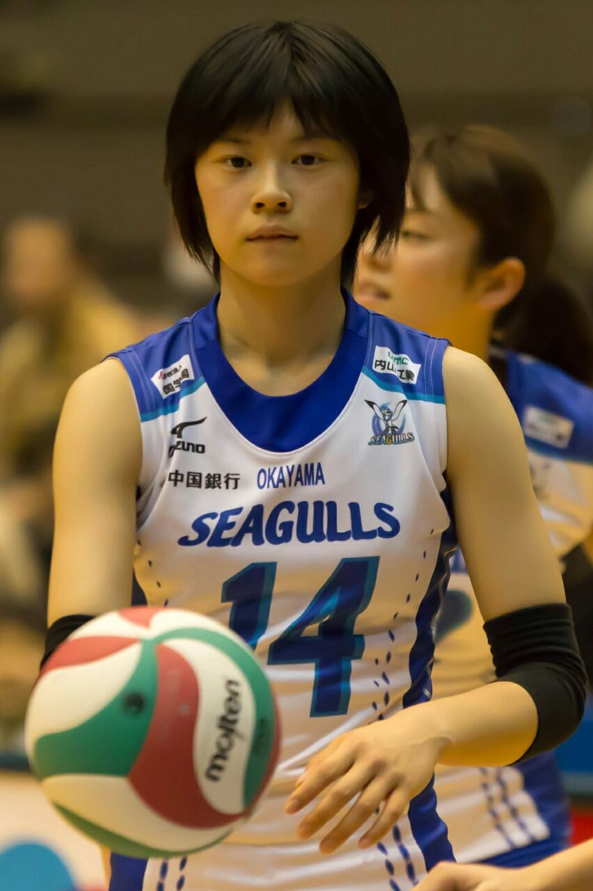 今年の全日本招集候補 セッター編 全日本女子バレーボールの今日 そして明日 今年の全日本招集候補 セッター編 全日本女子バレーボールの今日 そして明日
