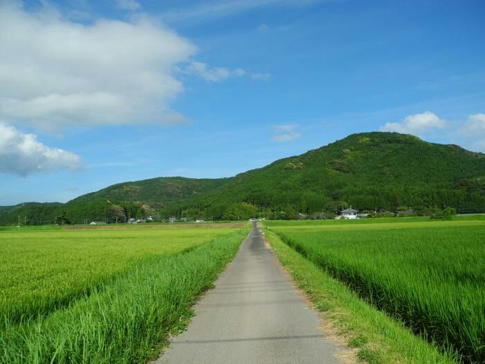 それぞれの夏 日本の夏 全日本女子バレーボールの今日 そして明日