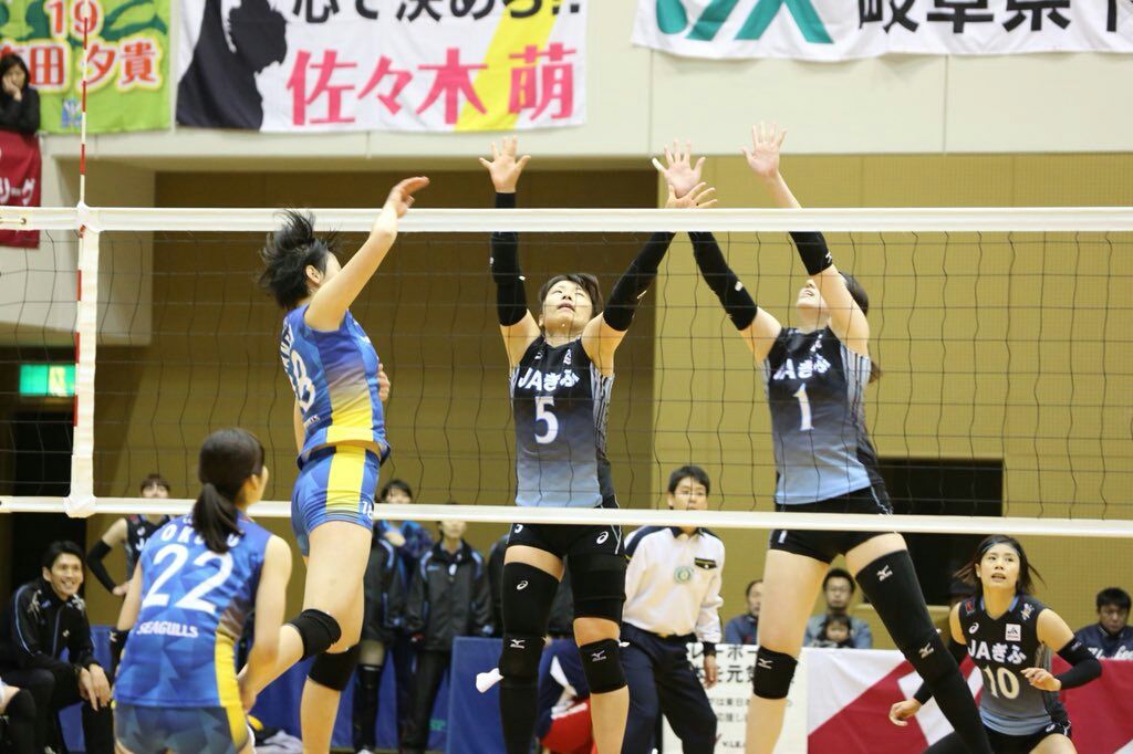 彼女はバレーボーラー