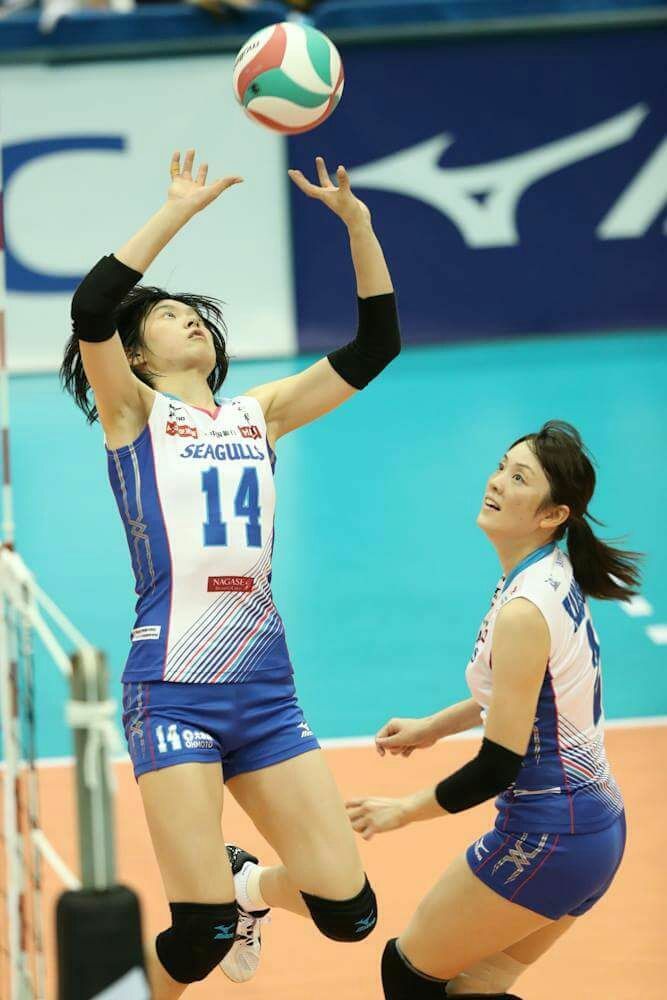 山口舞 岡山シーガルズ バレーボール女子元日本代表、岡山シーガルズの
