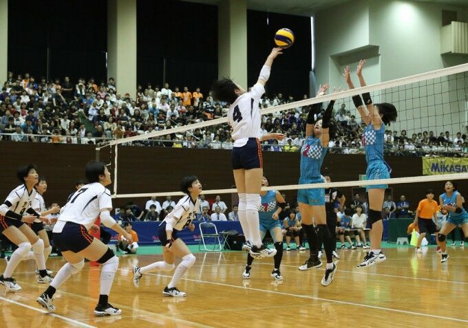 バレーボール夜話 Vol 競技としての生き残り 彼女はバレーボーラー バレーボール夜話 Vol 競技としての生き残り 彼女はバレーボーラー