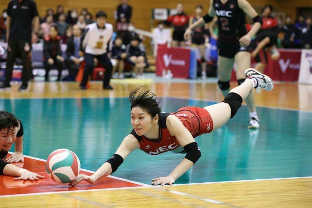 17年全日本女子バレーボールチーム 登録選手名鑑 全日本女子バレーボールの今日 そして明日 東京オリンピック編