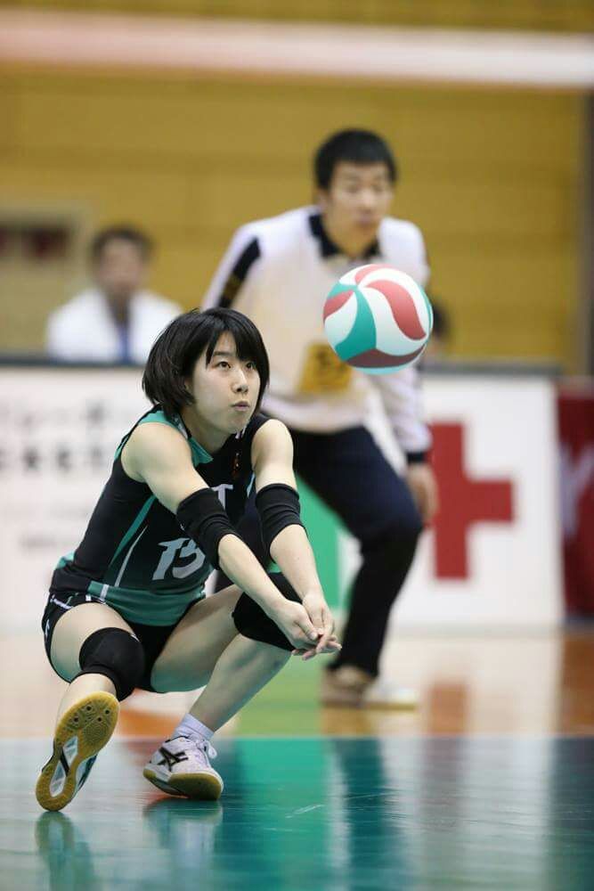 2017年全日本女子バレーボールチーム 登録選手名鑑 全日本女子バレーボールの今日 そして明日 東京オリンピック編