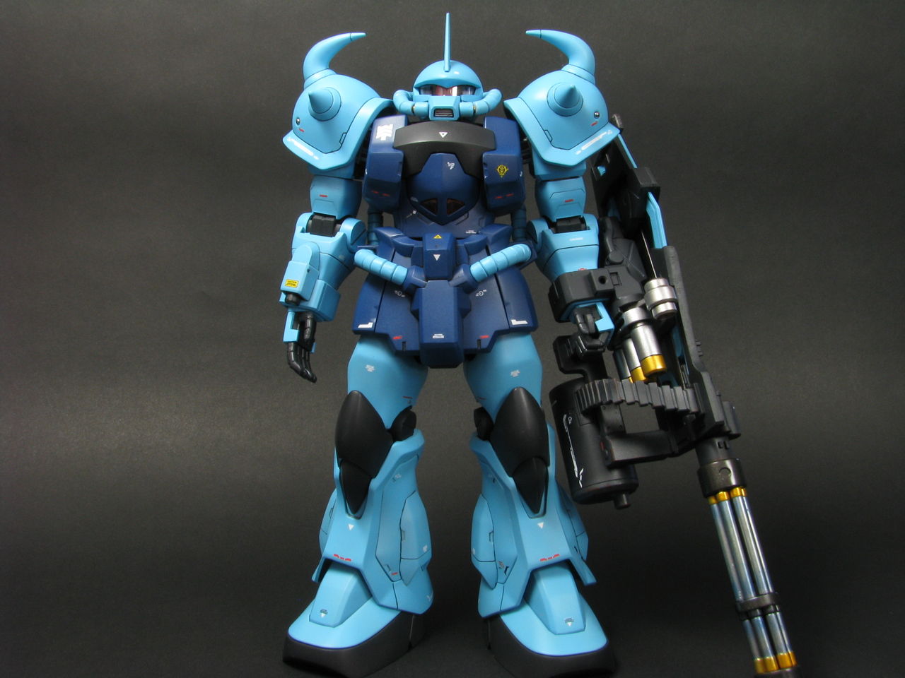 Mg 1 100 グフカスタム 完成 ゆりかご亭