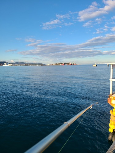 釣れない 夕日桟橋 富浦旧港 12 26 虎太郎の自由釣