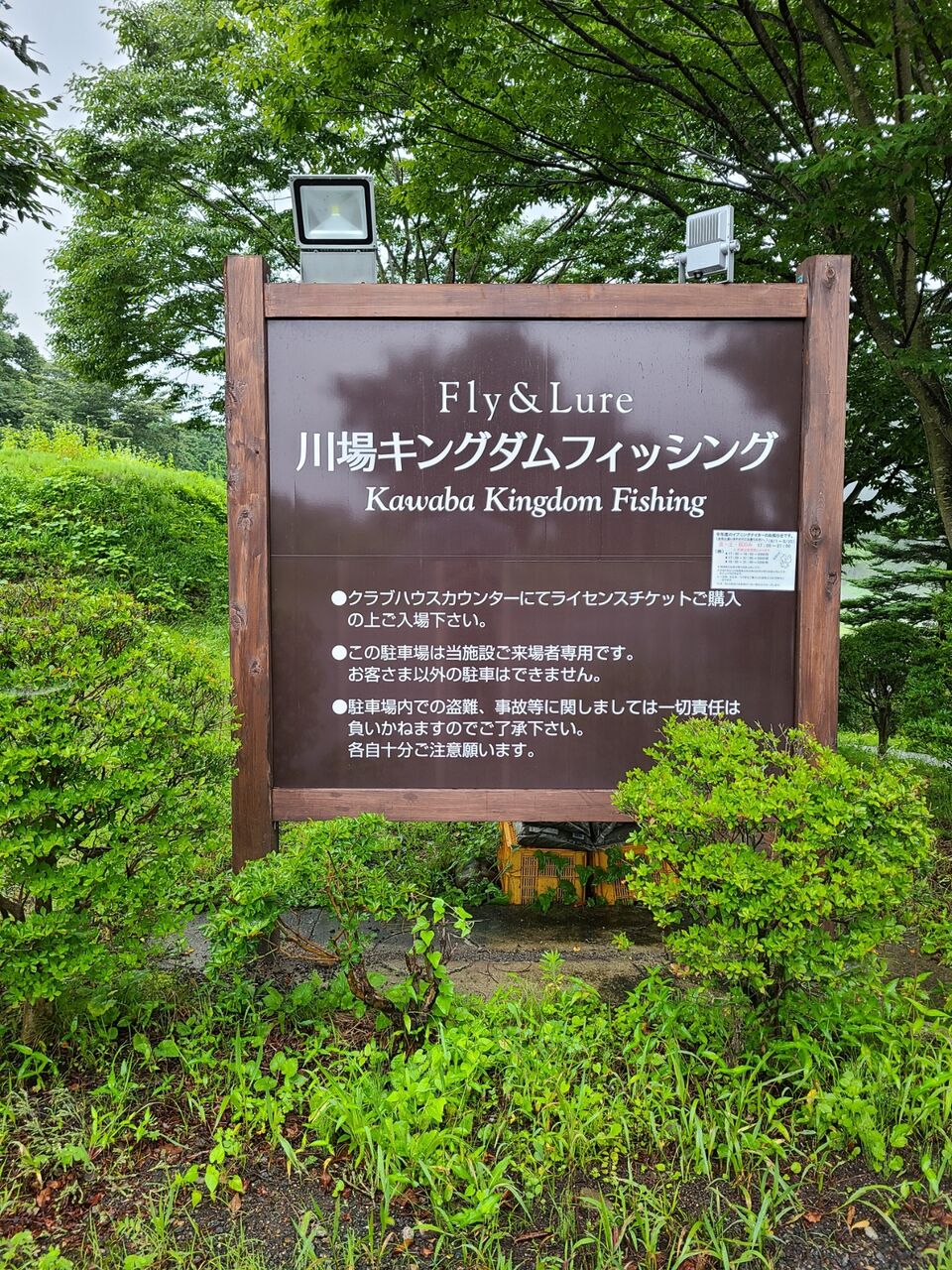 キングダム フィッシング 川場