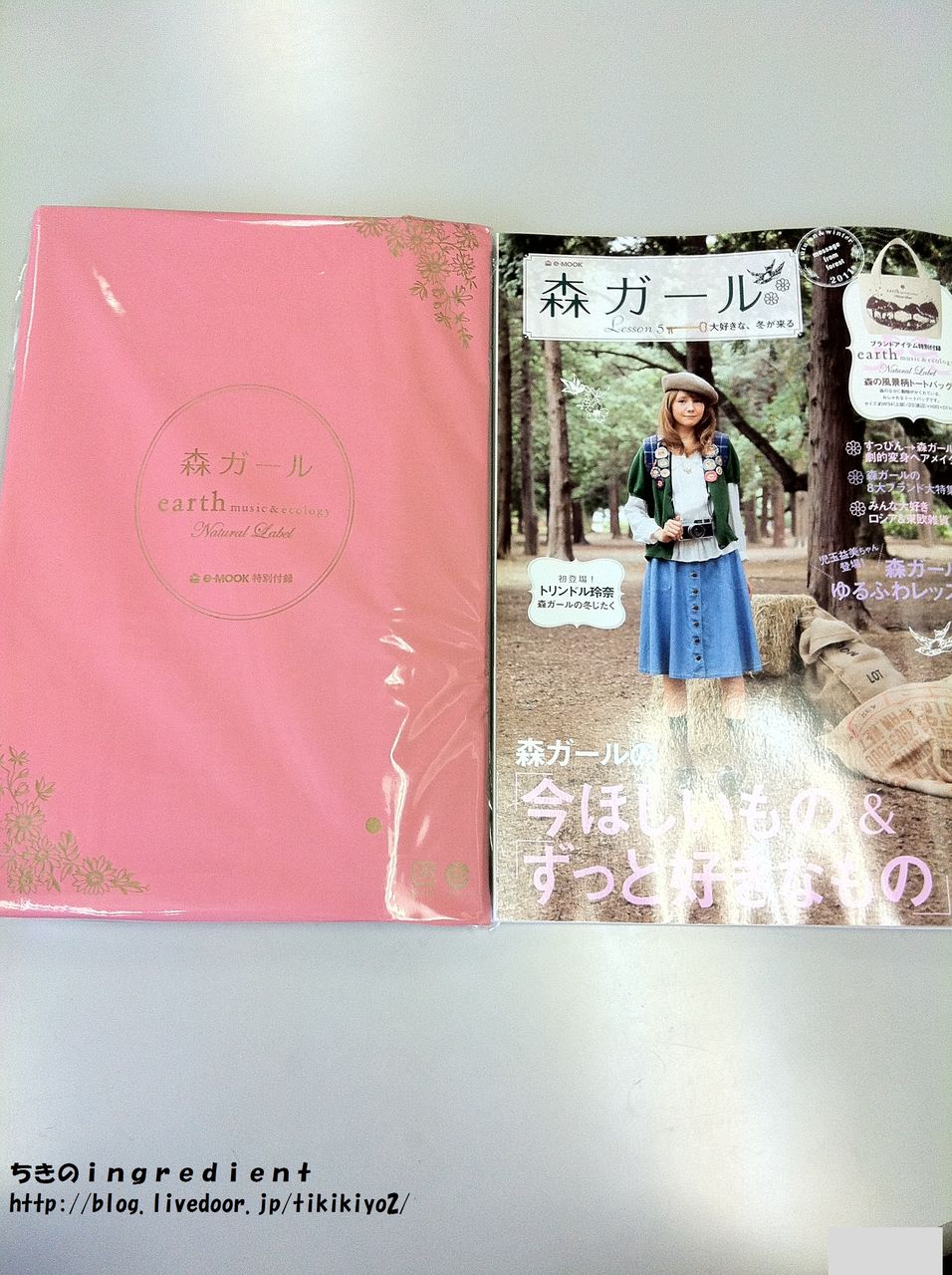 雑誌付録レビュー アース ミュージック エコロジー ナチュラルレーベル 森の風景柄コットンバッグ 森ガール Lesson5 ちきのingredient 雑誌付録レビュー アース ミュージック エコロジー ナチュラルレーベル 森の風景柄コットンバッグ 森ガール Lesson5 ちきのingredient