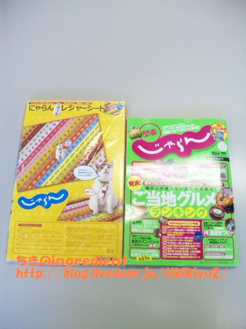 雑誌付録レビュー にゃらん レジャーシート 関東じゃらん 10年10月号 ちきのingredient