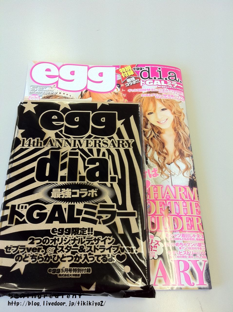 雑誌付録レビュー d．i．a． ドGALミラー egg 2011年5月号