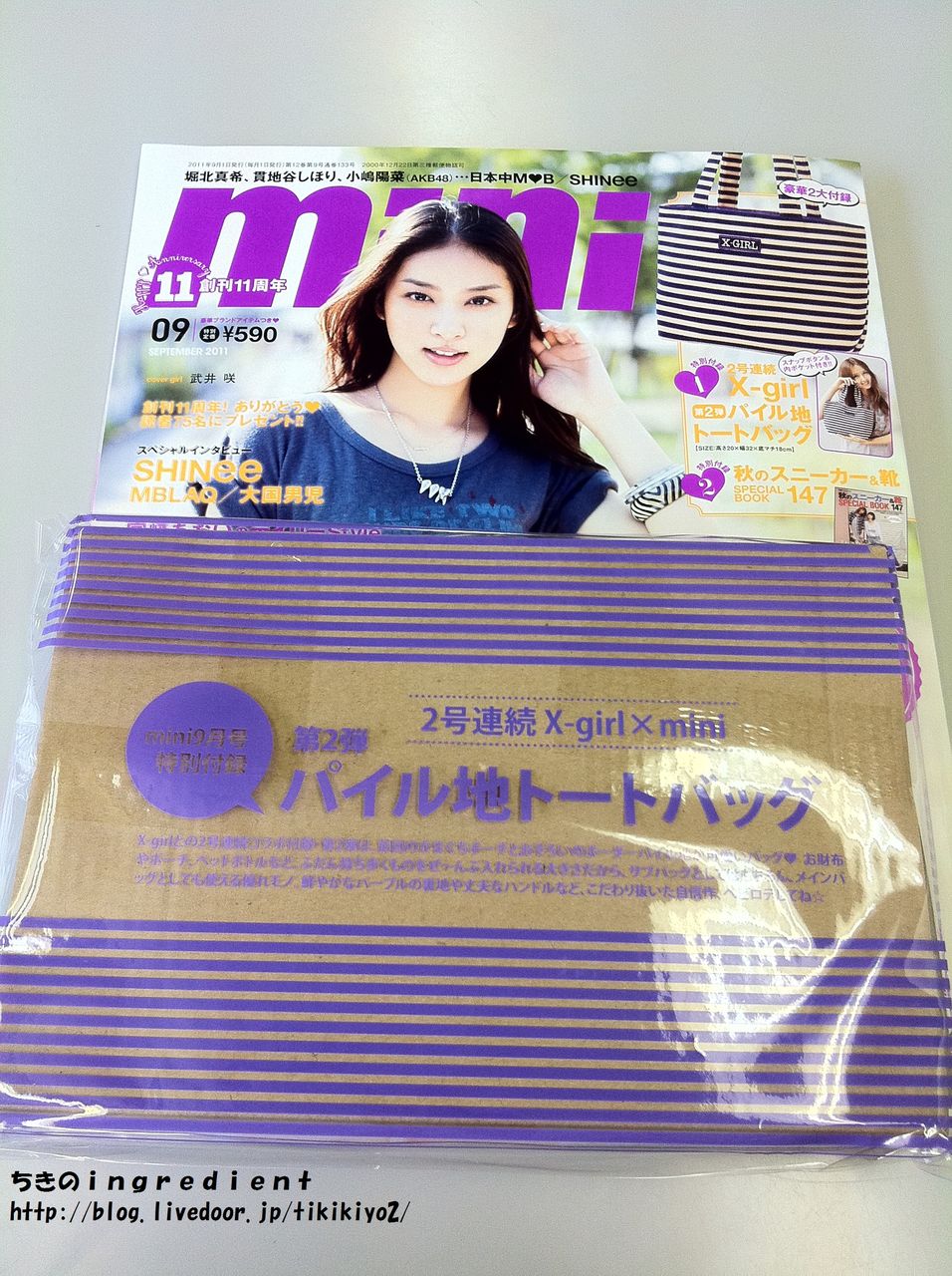 雑誌付録レビュー x girl パイル地トートバッグ mini 11年9月号 ちきのingredient 雑誌付録レビュー x girl パイル地トートバッグ mini 11年9月号 ちきのingredient