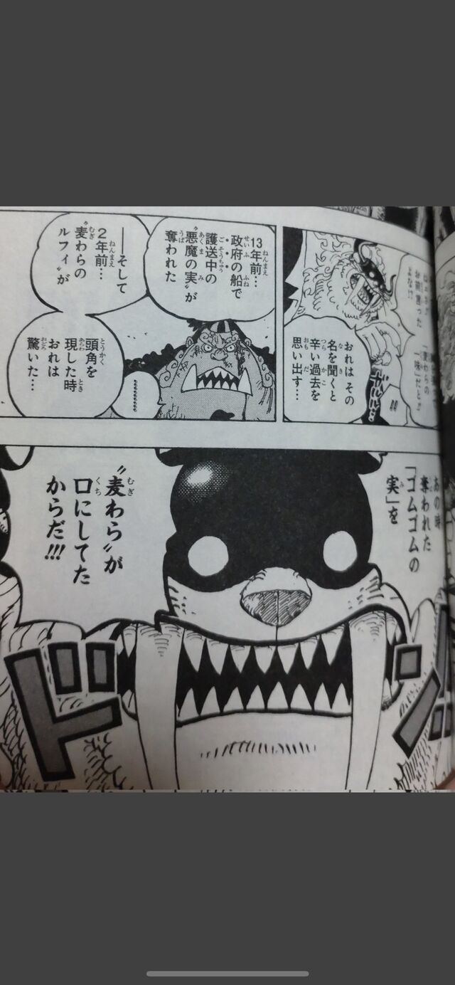 漫画系 ゴムゴムの実 麦わら帽子が食べていた まとめｔｏｋ