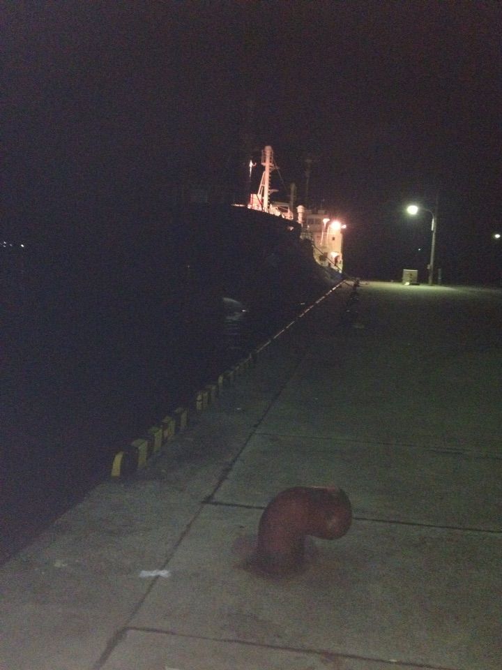 三崎港 アジ釣りたい 夜釣り 小サバラッシュで撃沈 ちょっと真面目に釣りしてみようか