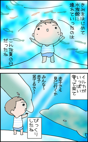 ちくわの穴から星☆を見た *4コマ-イルカ1