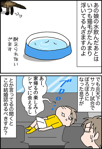 ちくわの穴から星☆を見た *4コマ-美猫4