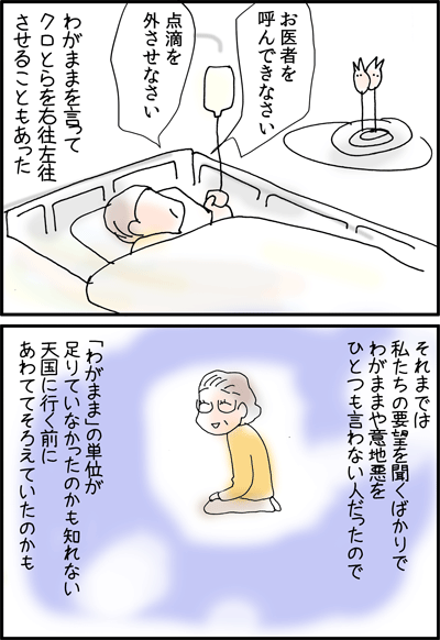 ちくわの穴から星☆を見た *4コマ-義母3
