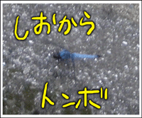 マップ4