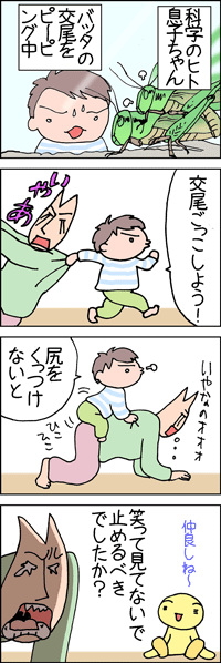 バッタ