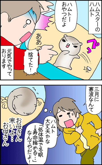 ちくわの穴から星☆を見た ＊4コマ-日々のハムトさん１