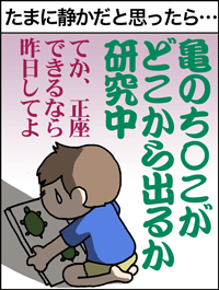 亀